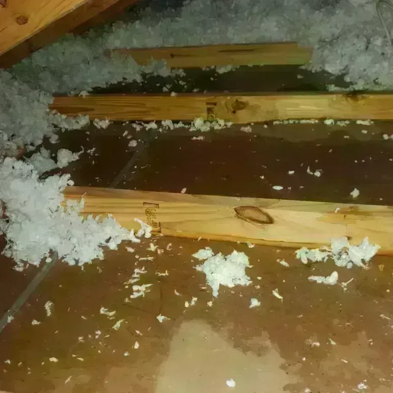 Attic Water Damage in Lenoir County, NC